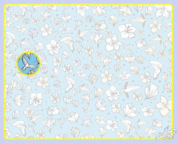 چند معمای تصویری برای آنهایی که توجه و دقت زیادی دارند